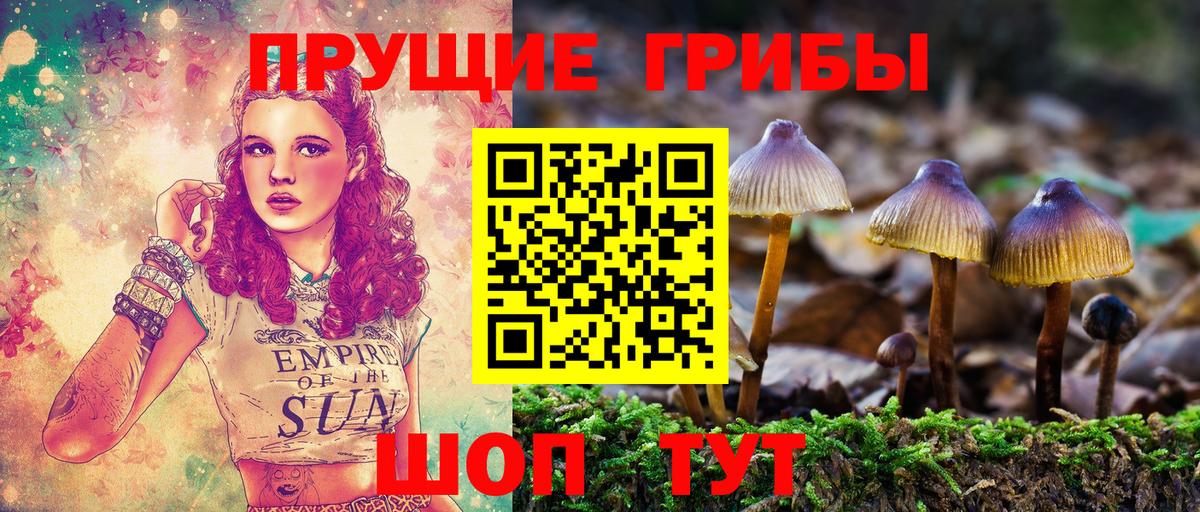 Псилоцибиновые грибы Psilocybe Лангепас